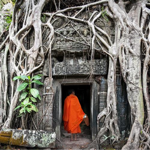 Kambodża Angkor