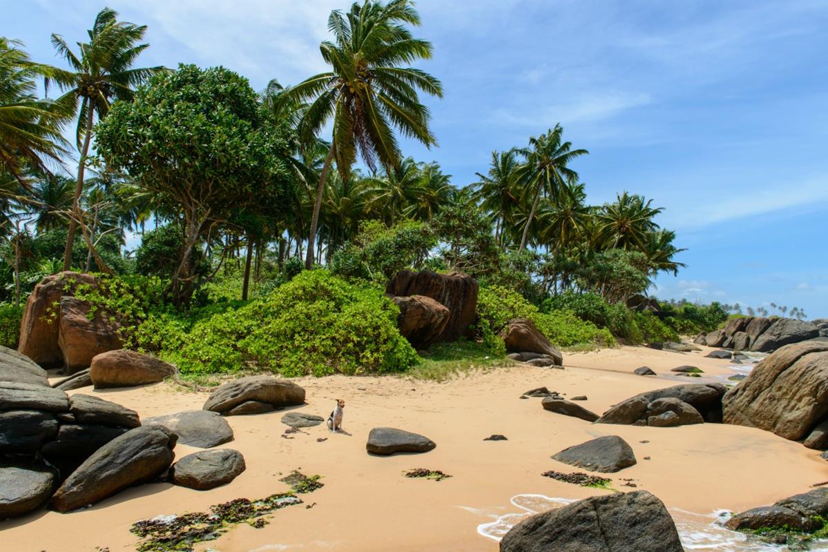 Wschodnie Wybrzeże Sri Lanki