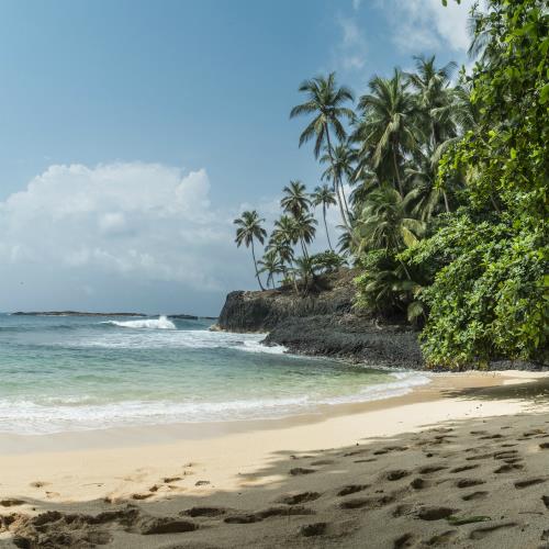 Dżungle i plaże ekologicznego raju Sao Tome miniaturka
