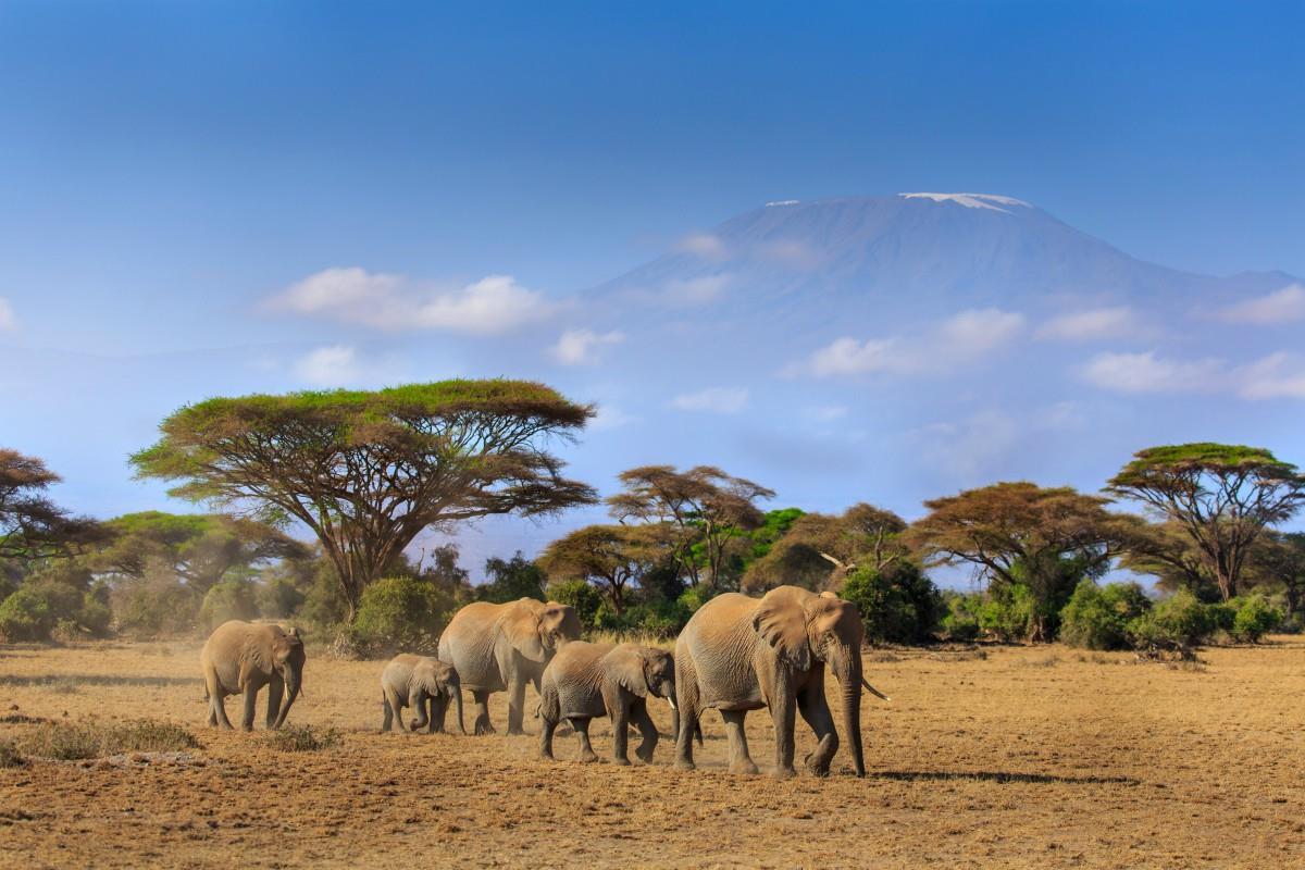 Park Narodowy Amboseli