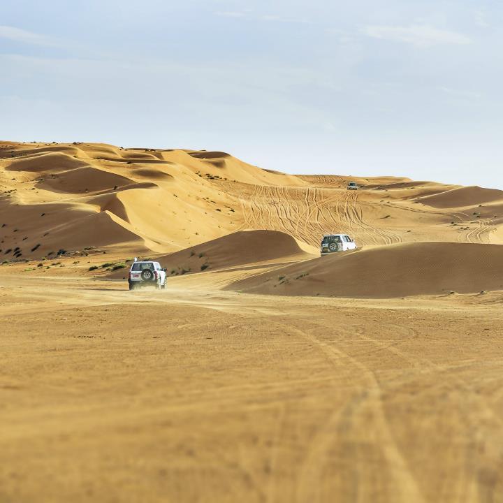 Safari po pustyni