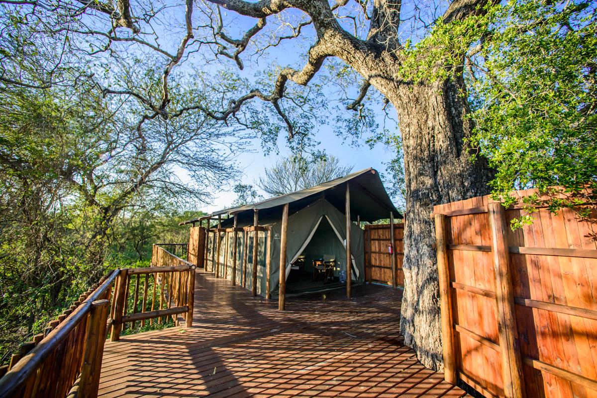 Shalati Safari Camp – Namiot