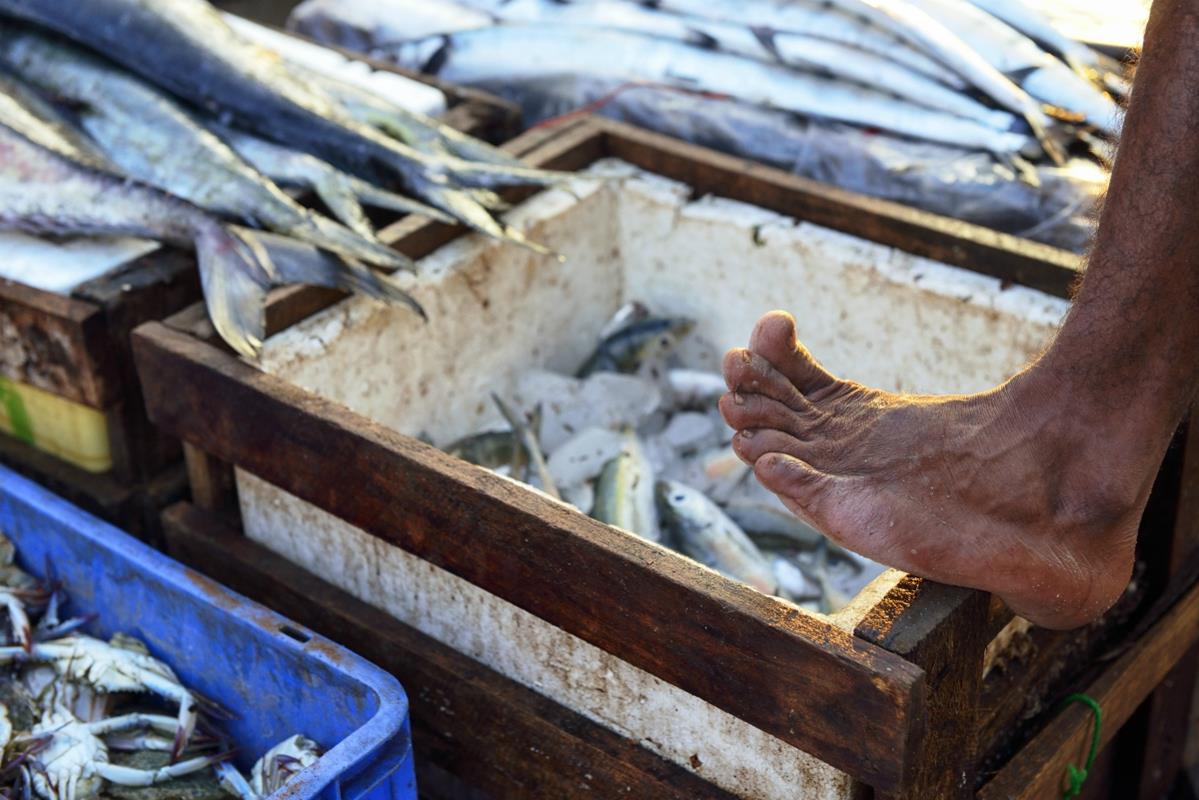 Targ rybny w Negombo