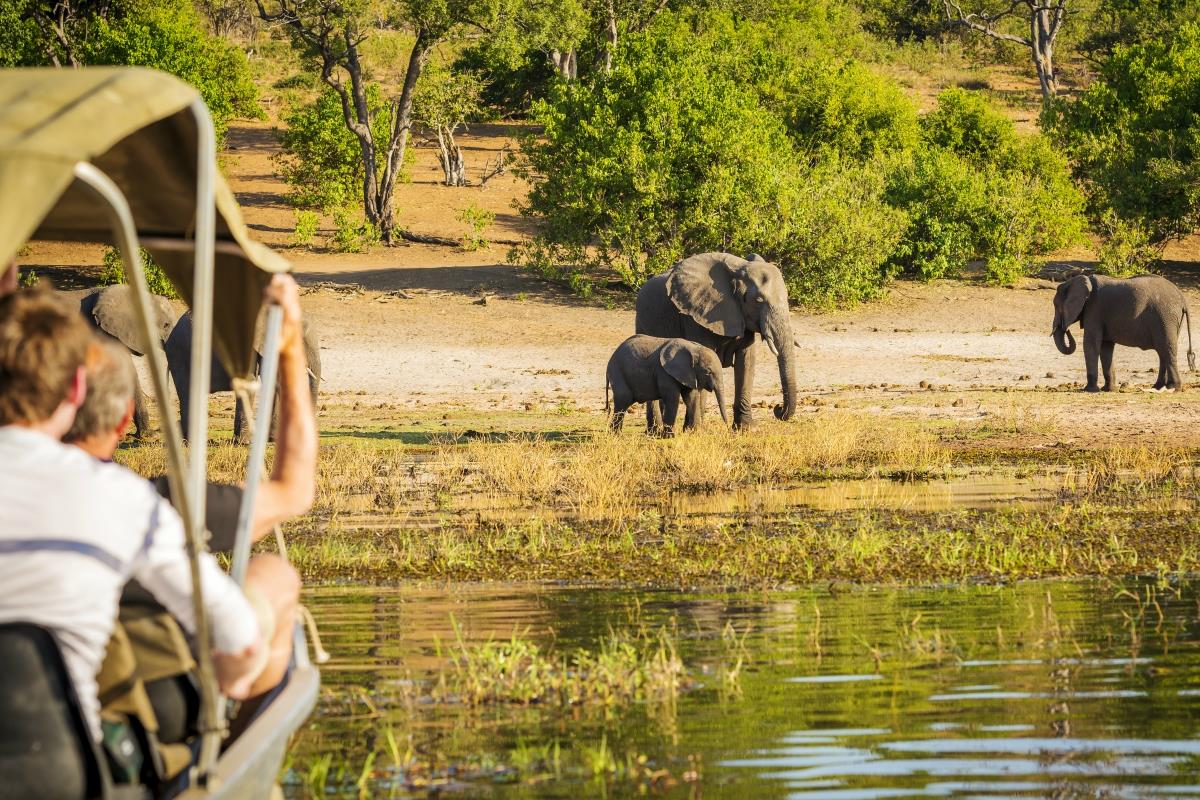 Park Narodowy Chobe
