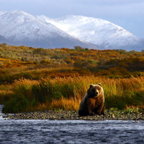 USA – Dzika Alaska_Miniaturka