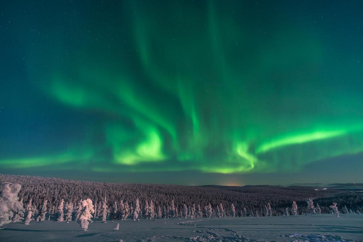 Northern Lights – zorza polarna obserwowana z Northern Lights Village