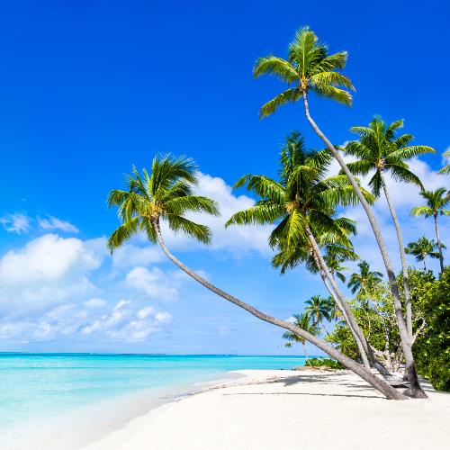 Wyspy Cooka – wakacje przez caly rok_miniaturka