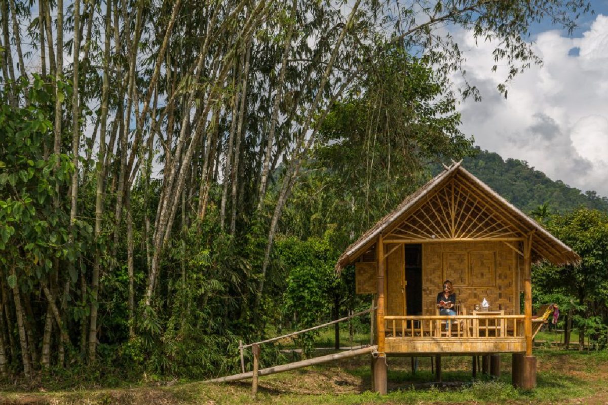 Our Jungle Camp – Bamboo Hut