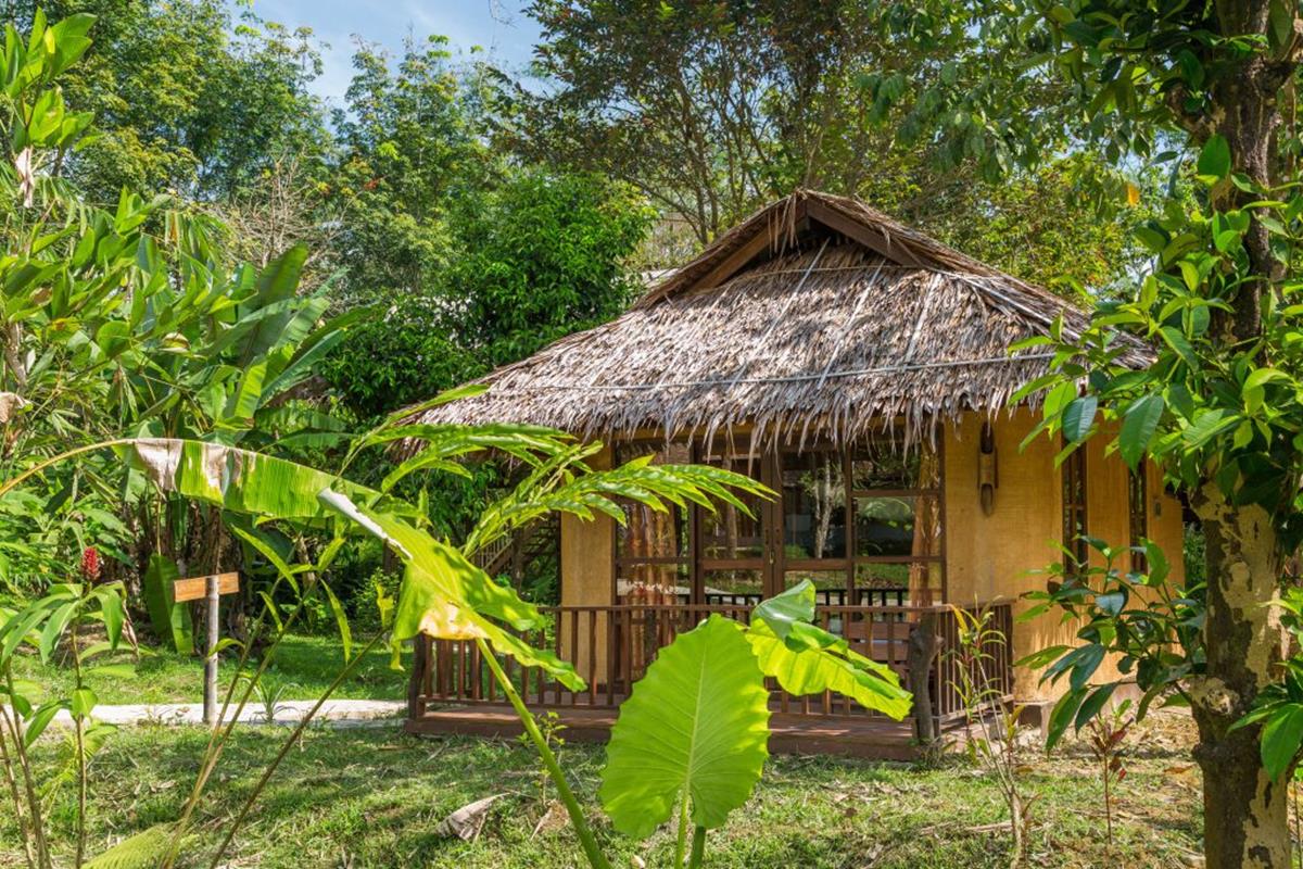 Our Jungle Camp – Earth House
