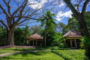 Capitán Suizo Beachfront Boutique Hotel – Bungalow