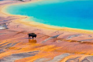 Inspiracja podróżnicza na dziś: Park Yellowstone 🇺🇸 To nie tylko najstarszy park narodowy świata – to miejsce, gdzie ziemia oddycha, bulgocze i wybucha!🔥 Yellowstone zachwyca gejzerami, malowanymi gorącymi źródłami i dziką przyrodą, która żyje własnym rytmem. Możesz tu spotkać bizony na tle parujących łąk i poczuć, jak surowa natura dyktuje warunki 🦬
Marzysz o przygodzie w rytmie natury? Yellowstone to USA w najdzikszej i najpiękniejszej odsłonie.
#planetescape #usa #yellowstonenationalpark #nationalpark #nature #wildlife #adventure #travelmore #stanyzjednoczone #podroze #podrozeszytenamiare