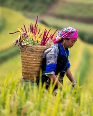 𝗪𝗶𝗲𝘁𝗻𝗮𝗺 🇻🇳 𝗰𝘇𝘆 𝗧𝗮𝗷𝗹𝗮𝗻𝗱𝗶𝗮? 🇹🇭
Szum skuterów w Hanoi czy złote świątynie Bangkoku? Mgły gór Sapa czy rajskie plaże Krabi? Jeden wybór, tysiąc emocji. Oba kraje pachną przygodą, smakują ulicznym jedzeniem i zostają w głowie na długo.
𝗔𝘇𝗷𝗮 𝗰𝘇𝗲𝗸𝗮 – 𝗽𝘆𝘁𝗮𝗻𝗶𝗲 𝘁𝘆𝗹𝗸𝗼: 𝗱𝗼𝗸ą𝗱 𝗽𝗼𝗹𝗲𝗰𝗶𝘀𝘇 𝘄 𝘁𝘆𝗺 𝗿𝗼𝗸𝘂? 🌏
Napisz do nas! Pomożemy wybrać kierunek, który naprawdę poczujesz!
#planetescape #vietnam #thailand #travel #holidays #tailormadeholidays #travelagency #biuropodrozy #podrozeszytenamiare #wakacje #wietnam #tajlandia