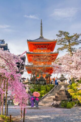 🇯🇵 Marzysz o hanami w Japonii? To ostatni dzwonek, by zaplanować podróż i zobaczyć kraj kwitnących wiśni w najpiękniejszej odsłonie!✈️
#planetescape #japan #hanami #visitjapan