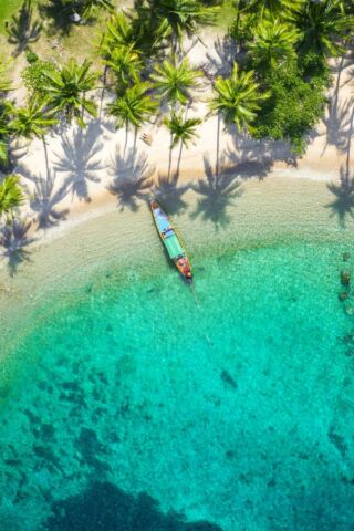 Tajlandia 🇹🇭 zachwyca różnorodnością, której trudno szukać w jednym kraju. ✨ Białe i złote plaże, spektakularne świątynie pełne historii i symboliki, tętniące życiem miasta oraz kuchnia, do której chce się wracać myślami długo po podróży. 🛩
Można tu połączyć beztroski wypoczynek nad morzem z odkrywaniem kultury, intensywnym city life i autentycznymi lokalnymi doświadczeniami. Do tego świetna infrastruktura, wysoki standard hoteli i jedzenie, które zachwyca na każdym kroku – od street foodu po fine dining.
Planujecie Tajlandię w 2026 roku? Sprawdźcie koniecznie nasze przykładowe programy i ulubione hotele! Wszystkie informacje na naszej stronie. Link w bio.
#planetescape #thailand #visitthailand #bangkok #krabi #chiangmai #floatingmarketbangkok #explorethailand #neverstopexploring #holidays #paradise #bestplacestogo #tajlandia #wakacje #podroze #podrozeszytenamiare #wakacjeszytenamiare