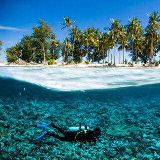 Śpieszymy donieść, że powoli wraca sezon na podróże do Indonezji! 🇮🇩🌴To idealny moment, by zaplanować wyjazd łączący wulkany Jawy, duchowe Bali, dziką przyrodę Sumatry i wyspy idealne na plażowanie. Indonezja znów pokazuje się od najlepszej strony – z dobrą pogodą, intensywną zielenią i przestrzenią do odkrywania!
#planetescape #indonesia #bali #holidaymode #visitbali #amazingworld #nature #exploremoreً #adventure #indonezja #bali #wakacje #podrozeszytenamiare