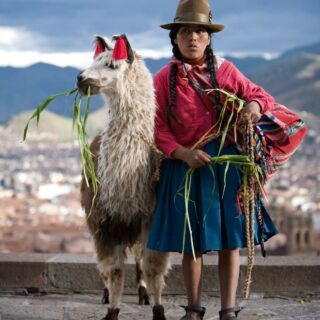 𝗭𝗮 𝗰𝗼 𝗸𝗼𝗰𝗵𝗮𝗺𝘆 𝗣𝗲𝗿𝘂? 🇵🇪 🦙
🔸 Za poranki, gdy mgła odsłania Machu Picchu jak scenę z innej epoki
🔸 Za barwy Andów, które potrafią być surowe i bajecznie kolorowe jednocześnie
🔸 Za kondory szybujące nad Colca Canyon
🔸 Za amazońską dżunglę, w której wszystko żyje własnym rytmem
🔸 Za kuchnię, od ceviche po lokalny street food, która potrafi zaskoczyć na każdym kroku!
🔸 I za ludzi – serdecznych, dumnych, pełnych historii.
Przykładowe programy wycieczki do Peru znajdziecie na naszej stronie.
Link w bio!
#planetescape #peru #travel #neverstopexploring #visitperu #bestcoutries #bestplacestogo #machupicchu #colcacanyon #liketiticaca #andy #tailormadeholidays #podroze #podrozeszytenamiare #wycieczkadoperu #biuropodrozy