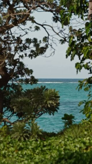 Czasem jedyne, czego potrzeba do pełni szczęścia, to odczuwanie „tu i teraz” 🦋
Jest to możliwe w @oolesaintgeran na Mauritiusie. Hotel położony jest na prywatnym półwyspie, między spokojną laguną a otwartym oceanem.
One & Only Le Saint Geran daje dokładnie to, czego dzisiaj najbardziej potrzeba 🩵
Poranki zaczynają się ty naturalnym światłem i szumem fal. Jasne, eleganckie wnętrza otwierają się na zieleń i błękit, a piaszczysta plaża jest oddalona o krok od sypialni 🪽☀️
#oneandonlymauritius #luksusowewakacje #luxuryhotels #mauritiusuncovered