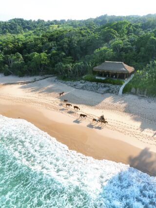Hotel Nihi Sumba zachwyca nie tylko standardem, ale przede wszystkim klimatem, którego nie da się podrobić. To egzotyka w najbardziej zjawiskowym wydaniu — luksusowa, ale bez zadęcia; kameralna, a jednocześnie pełna emocji.
Wyspa wciąż pozostaje dzika i surowa, a sam hotel daje wszystko, czego oczekujemy od naprawdę wyjątkowego wypoczynku : prywatność, przestrzeń, spektakularne widoki i doświadczenia, które zostają w pamięci na lata.
Więcej szczegółów nt. hotelu znajdziecie na naszej stronie:
https://bit.ly/4rL8uM7
#planetescape #nihisumba #sumba #indonezja #indonesia #egzotyka #podróże #podroze #podróższynamiare #podrozeszytenamiare #podrozpremium #wyjazdmarzen #luxurytravel #luxuryresort #beachescape #surftrip #konienaplaży #onceinalifetime