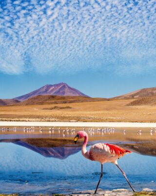 Dziś obchodzimy Dzień Ziemi 🌍
To dobry moment, żeby przypomnieć sobie, jak niezwykły jest świat, który mamy szczęście poznawać — od oceanów i pustyń po dżungle, góry i wyspy rozsiane po najdalszych zakątkach globu.
W Planet Escape wierzymy, że podróżowanie to nie tylko przywilej, ale też odpowiedzialność. Im więcej świata widzimy, tym bardziej chcemy go chronić.
Za jego piękno, różnorodność i miejsca, które wciąż potrafią nas zachwycać — dziś szczególnie dziękujemy Ziemi. 💚
#planetescape #earthday #nature #amazingworld