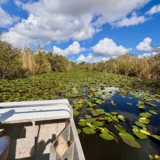 Everglades 🐊 Wystarczy wyjechać z Miami, by Floryda przestała być pocztówką z plażą i palmami, a stała się światem mokradeł, aligatorów, ptaków i wysokich traw.
Podczas naszej podróży po Florydzie odwiedziliśmy ten park i uważamy, że to jedna z najciekawszych wycieczek w okolicach Miami. Rejs poduszkowcem po mokradłach, aligatory wypatrywane tuż przy tafli wody, ptaki, rozlewiska i krajobraz zupełnie inny niż ten znany z Miami — Everglades pokazuje Florydę bardziej surową, zieloną, nieoczywistą.
#planetescape #podrozeszytenamiare #usa #floryda #everglades