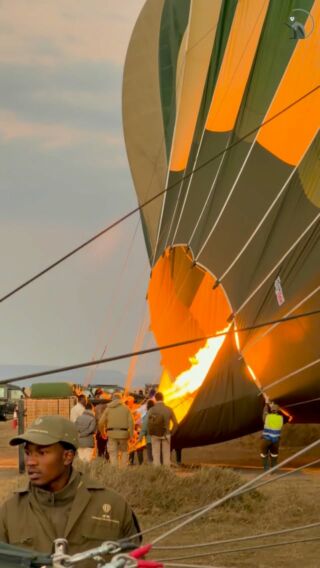 🌅🐘Wyobraźcie sobie poranek nad Serengeti, gdy pierwsze promienie słońca delikatnie budzą do życia tą rozległą sawannę. W wiklinowym koszu balonu unosicie się cicho nad krajobrazem, który z tej perspektywy wydaje się być jeszcze bardziej monumentalny: stada słoni przemierzają trawiaste równiny, żyrafy dostojnie kroczą między akacjami, a lwy odpoczywają po nocnym polowaniu.
Lot balonem nad Serengeti to jedno z najbardziej niezwykłych doświadczeń safari. Przygotujcie się na doświadczenie, które przeniesie Was jeszcze bliżej afrykańskiej przyrody i pozwoli spojrzeć na świat z perspektywy, jakiej jeszcze nie znaliście!
#planetescape #tanzania #safari #serengeti #lotbalonem