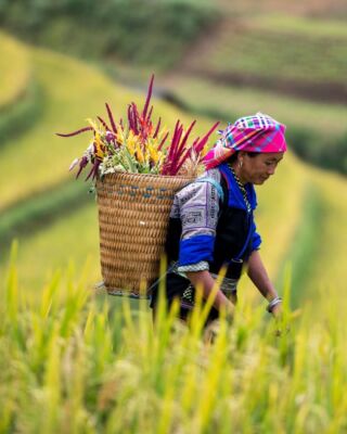 🇻🇳 𝐖𝐢𝐞𝐭𝐧𝐚𝐦 𝐛ę𝐝𝐳𝐢𝐞 𝐣𝐞𝐬𝐳𝐜𝐳𝐞 𝐛𝐥𝐢ż𝐞𝐣!
Od 31 marca 2027 roku LOT poleci bezpośrednio z Warszawy do Hanoi. To dobry moment, by zaplanować podróż przez Wietnam: spróbować pho w stolicy, popłynąć między wapiennymi wyspami zatoki Ha Long, zobaczyć Hoi An w blasku lampionów, odkryć uliczne życie Sajgonu i odpocząć na plażach Phu#travel_drops
Zapraszamy do kontaktu!
#planetescape #wietnam #podrozeszytenamiare #flylot #wakacje #egzotyka #hanoi #sajgon #halong #vietnam #visitvietam #tailomadeholidays #travel