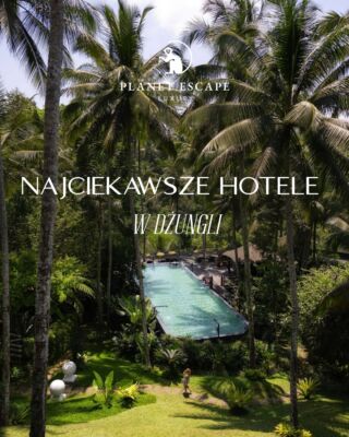 Cztery różne interpretacje luksusu, ale bez marmurowych lobby i monumentalnych resortów – za to z dżunglą tuż za progiem. 🌿 Który z nich wybierzecie? 👉🏻
📍Buahan, a Banyan Tree Escape | Bali - bez ścian, bez drzwi i niemal bez granicy między wnętrzem a otaczającą naturą. Wille ukryte w balijskiej dżungli otwierają się na dolinę, las i odległe szczyty. To współczesny luksus oparty na prostocie, prywatności i bliskości natury. 🇮🇩
📍Shinta Mani Wild | Kambodża - spektakularny camp położony w prywatnym rezerwacie pomiędzy trzema parkami narodowymi. Zaledwie 15 luksusowych namiotów rozstawiono nad rzeką i wodospadami, a na miejscu można towarzyszyć strażnikom podczas patroli chroniących tutejszą przyrodę. 🇰🇭
📍Anavilhanas Jungle Lodge | Brazylia - kameralny lodge położony w samym sercu brazylijskiej Amazonii, nad brzegiem Rio Negro i naprzeciw archipelagu Anavilhanas – jednego z największych rzecznych archipelagów na świecie. Pobyt tutaj to prawdziwe zanurzenie w Amazonii: rejsy łodzią wśród zalanych lasów i setek wysp, wyprawy w poszukiwaniu dzikich zwierząt, trekkingi po dżungli i obserwowanie niezwykłego ekosystemu Rio Negro. Wszystko w formule komfortowego, butikowego lodge’u otoczonego tropikalnym lasem. 🇧🇷
📍Capella Ubud | Bali - ukryty w lesie deszczowym nad rzeką Wos, niezwykły camp zaprojektowany przez Billa Bensleya. Każdy z luksusowych namiotów ma własny basen, a cały resort nawiązuje stylistyką do obozów XIX-wiecznych odkrywców. 🇮🇩