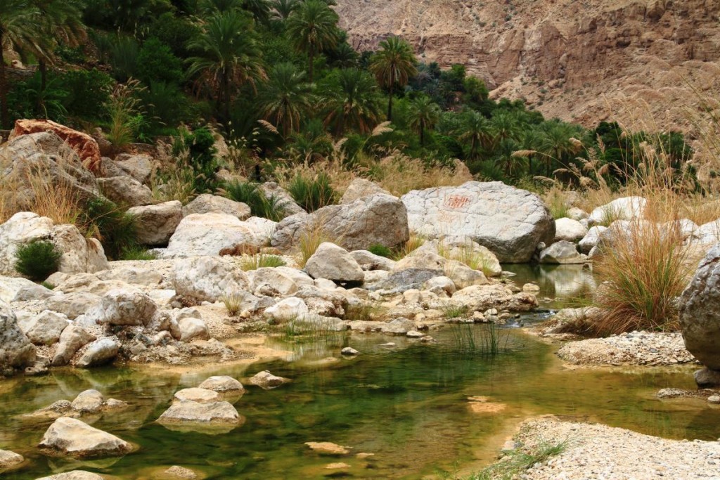 Wadi Tiwi