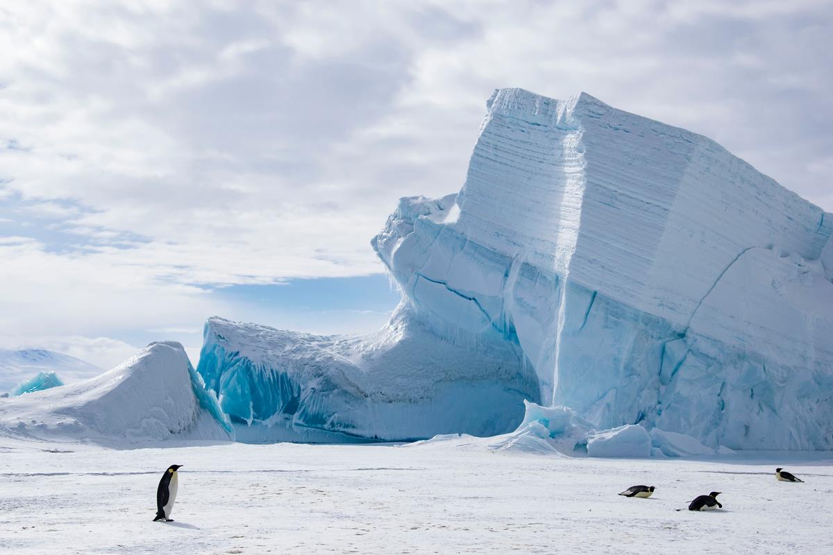 antarktyda-p-wysep-antarktyczny