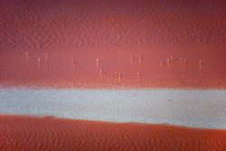Laguna Colorada, Boliwia
