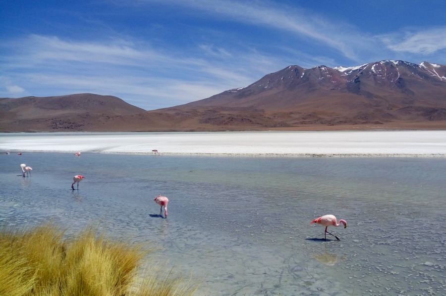 Laguna Hedionda, Boliwia