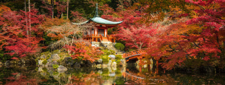 Japonia natura