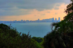 Batumi – Ogród Botaniczny