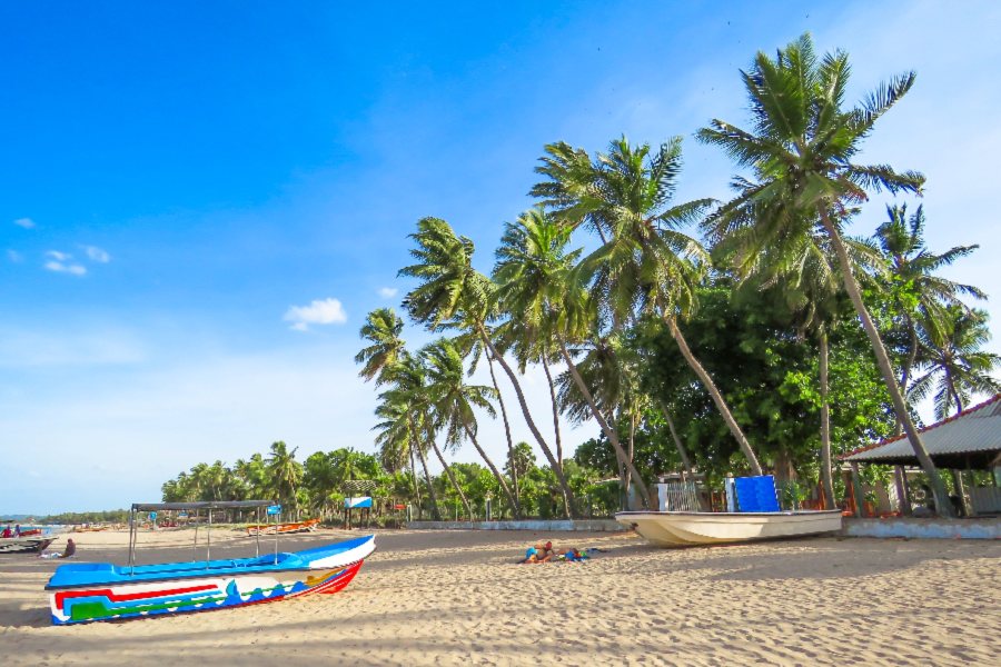 Sri Lanka – południowe wybrzeże