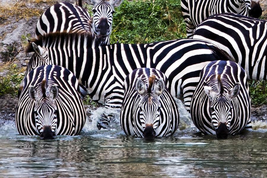 Tanzania and Zanzibar