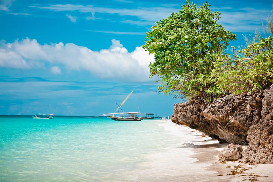 Zanzibar 