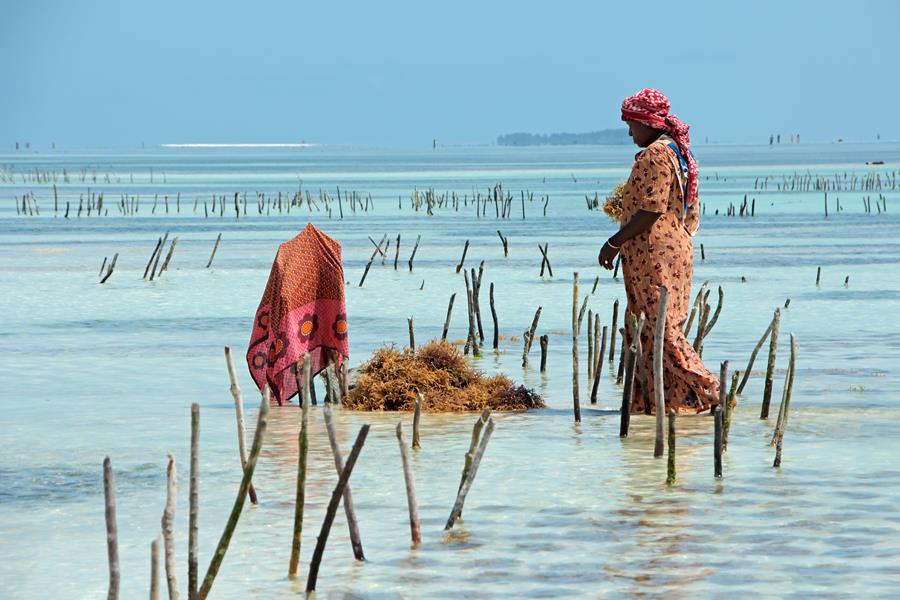 Zanzibar
