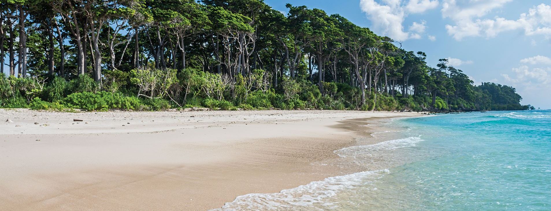Najpiękniejsze plaże w Indiach – które warto odwiedzić?