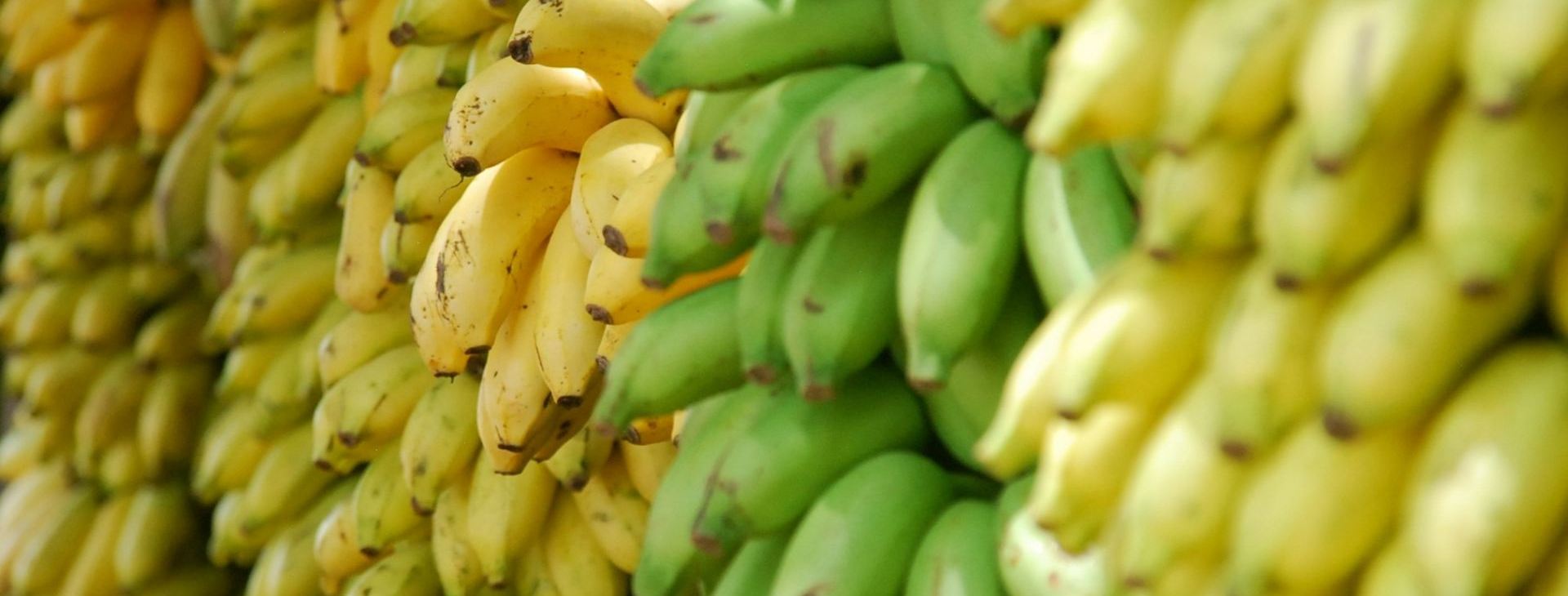 Kuchnia Kuby – czego warto spróbować?