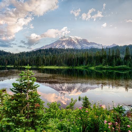 USA PARK NARODOWY MOUNT RAINIER visual data 3